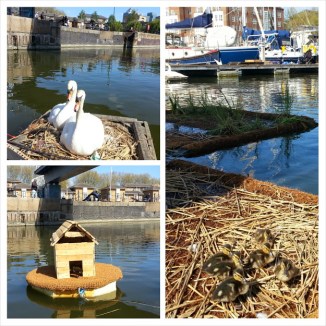 PhotoGrid_1397385447942